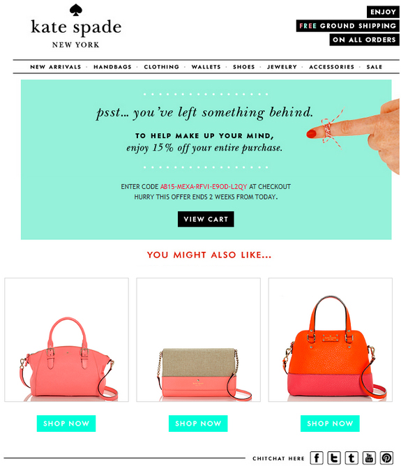 Abandoned Cart Email Campaign Abandoned Cart Email