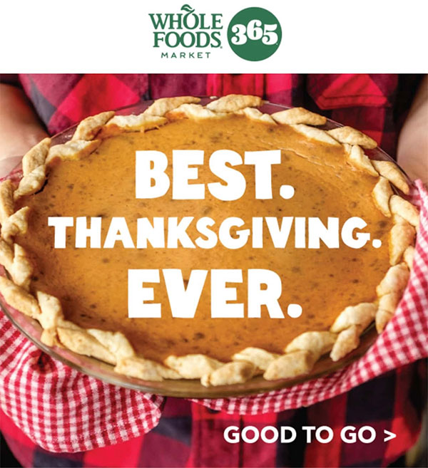 thanksgiving email template with bright design thanksgiving email template with bright design