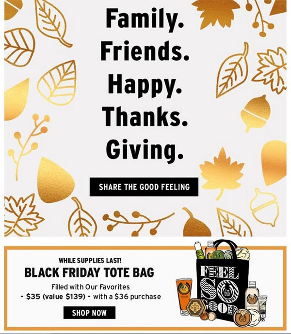 Thanksgiving Email Template with best subject line Thanksgiving Email Template with best subject line