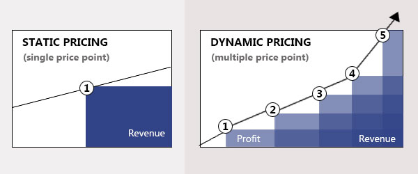 Adopting Dynamic Pricing Adopting Dynamic Pricing