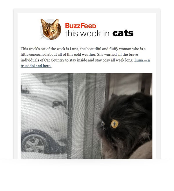 graphics in newsletter graphics in newsletter