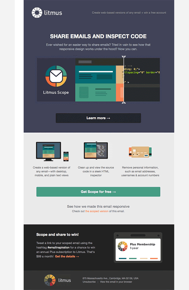 Newsletter Campaign Newsletter Campaign