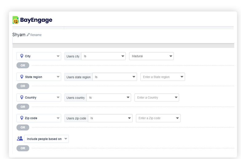 segment by demographics
