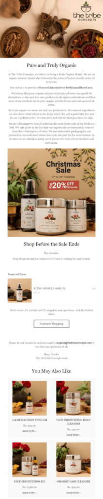 the tribe concepts- christmas sale email