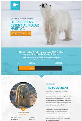 landing-page-for-lead-magnet-subsciber-growth