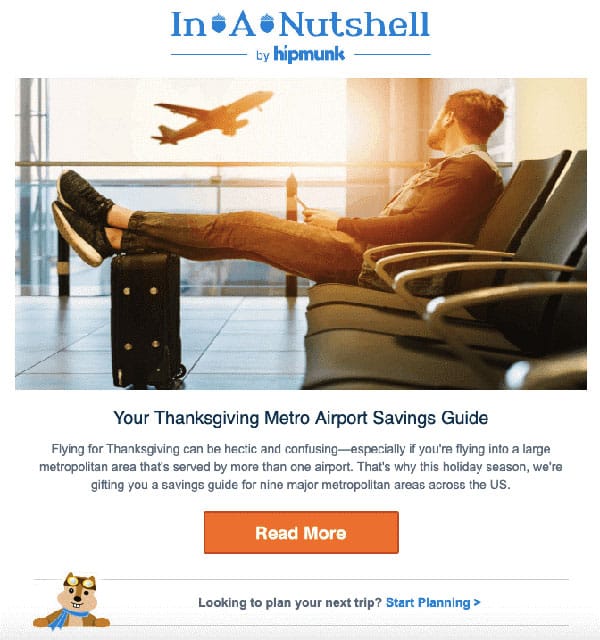 Interesting Thanksgiving email template 