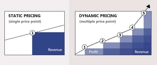 Adopting Dynamic Pricing