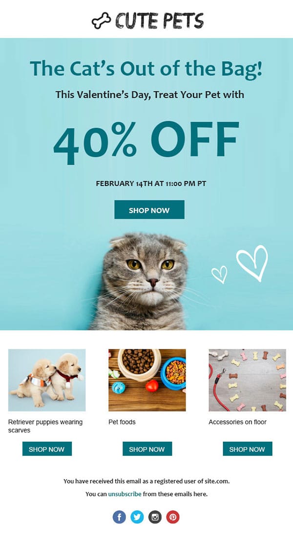 TargetBay's Valentine's Day email template for pet stores